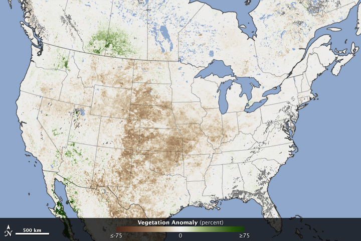 Dried Out Vegetation Across America - related image preview