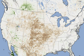 Dried Out Vegetation Across America