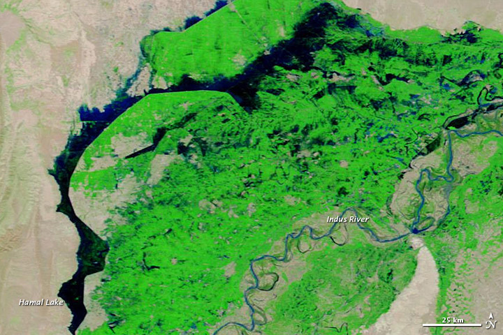 Shifting Flood Waters in Pakistan - related image preview