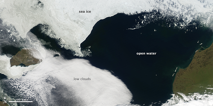 Sea Ice Skylights Spur Phytoplankton Blooms - related image preview