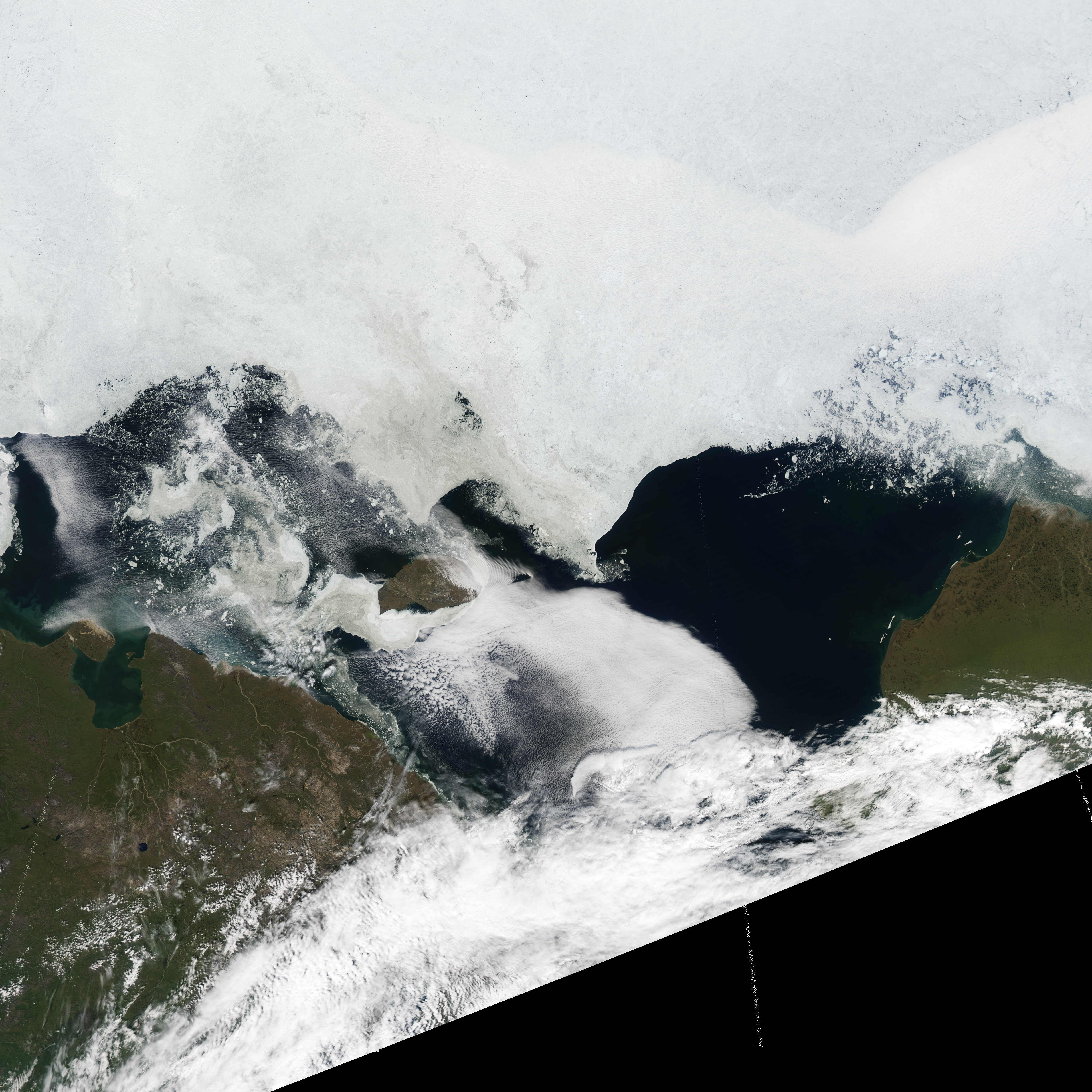 Sea Ice Skylights Spur Phytoplankton Blooms - related image preview