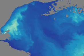 Sea Ice Skylights Spur Phytoplankton Blooms