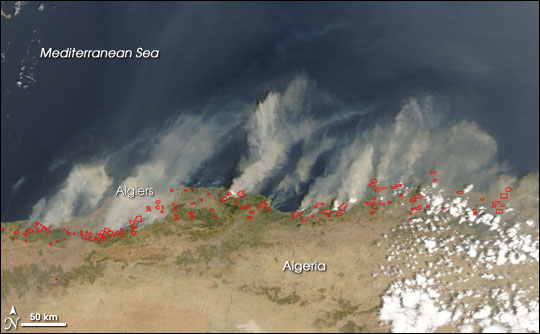 Forest Fires in Algeria