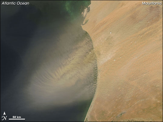 Dust Plume off Mauritania