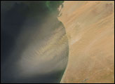 Dust Plume off Mauritania
