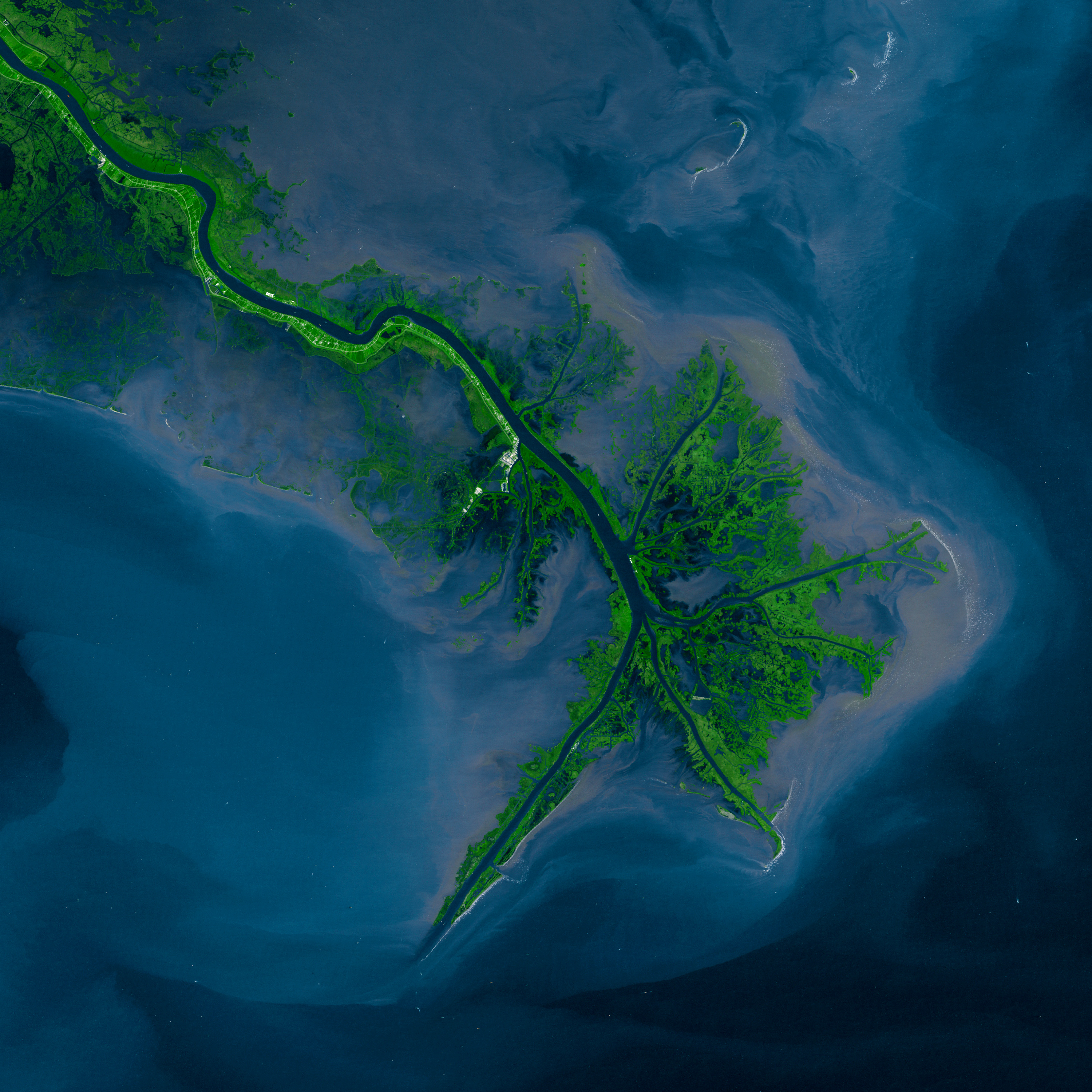 Mississippi River Delta - related image preview