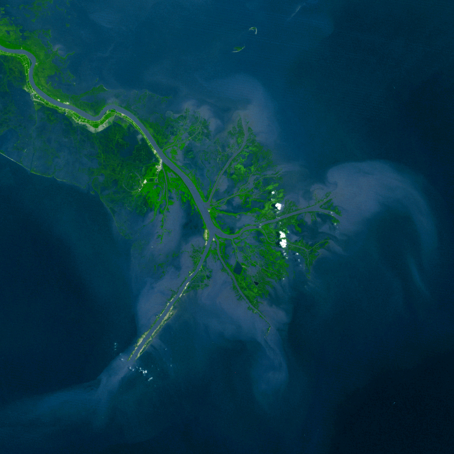 Mississippi River Delta - related image preview