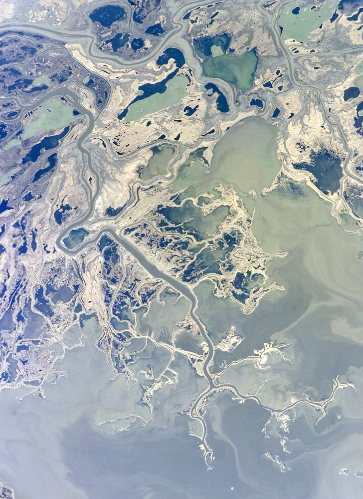 Saskatchewan River Delta, Manitoba, Canada - related image preview