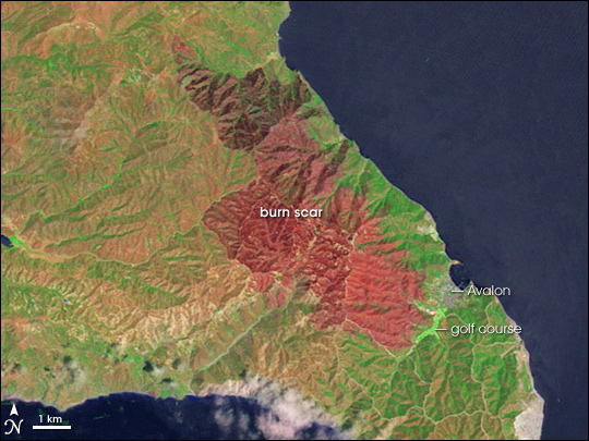 Burn Scar on Santa Catalina Island - related image preview