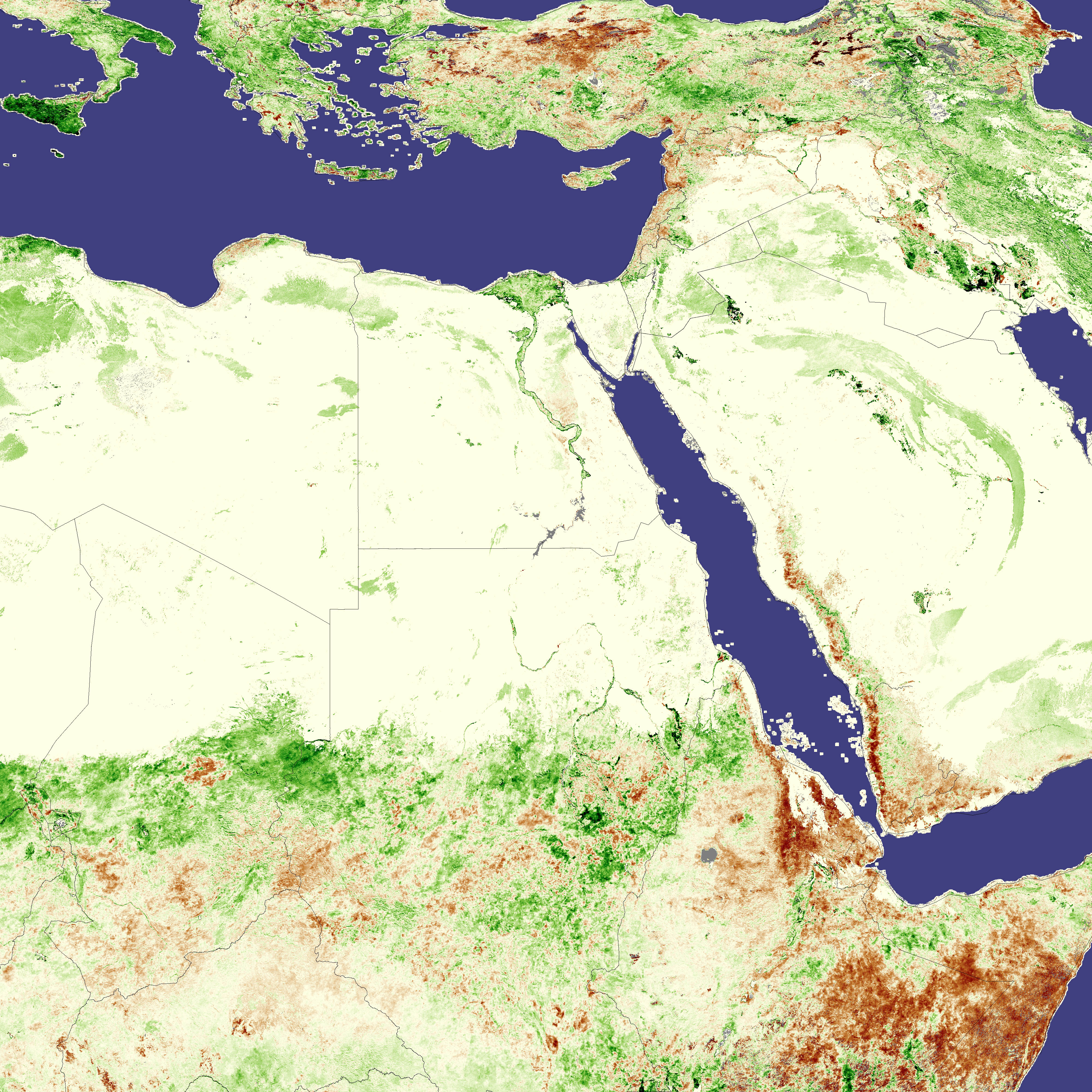 Lush Vegetation Fuels Locust Outbreak in Sudan - related image preview