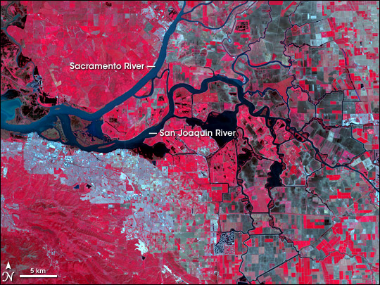 Sacramento-San Joaquin River Delta