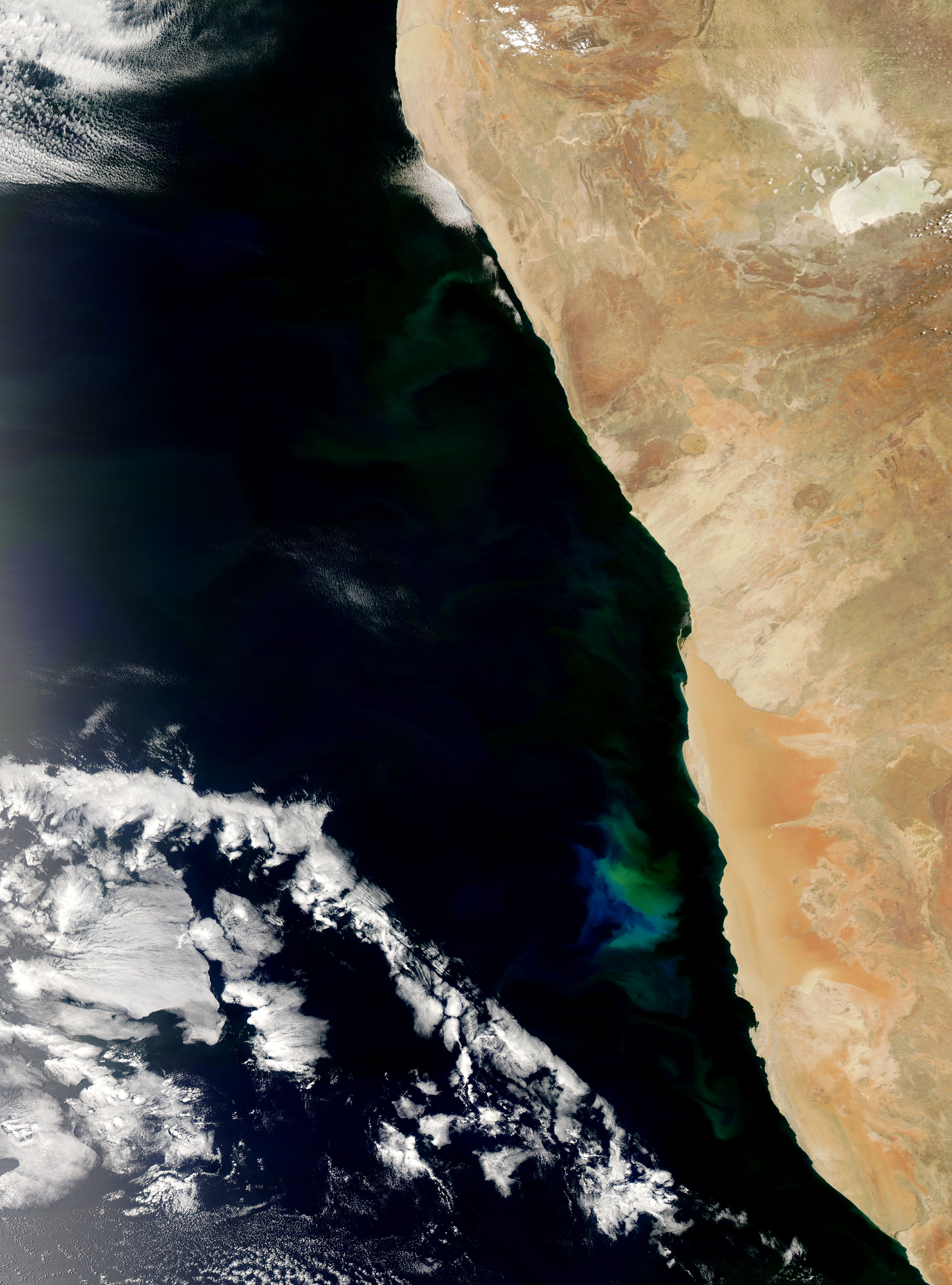 Phytoplankton Bloom off Namibia - related image preview