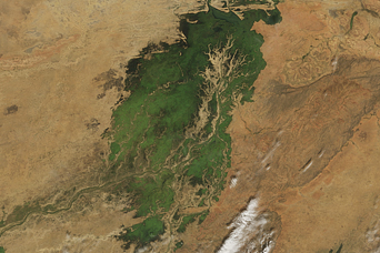 Inland Niger Delta, Mali - related image preview