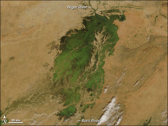 Inland Niger Delta, Mali