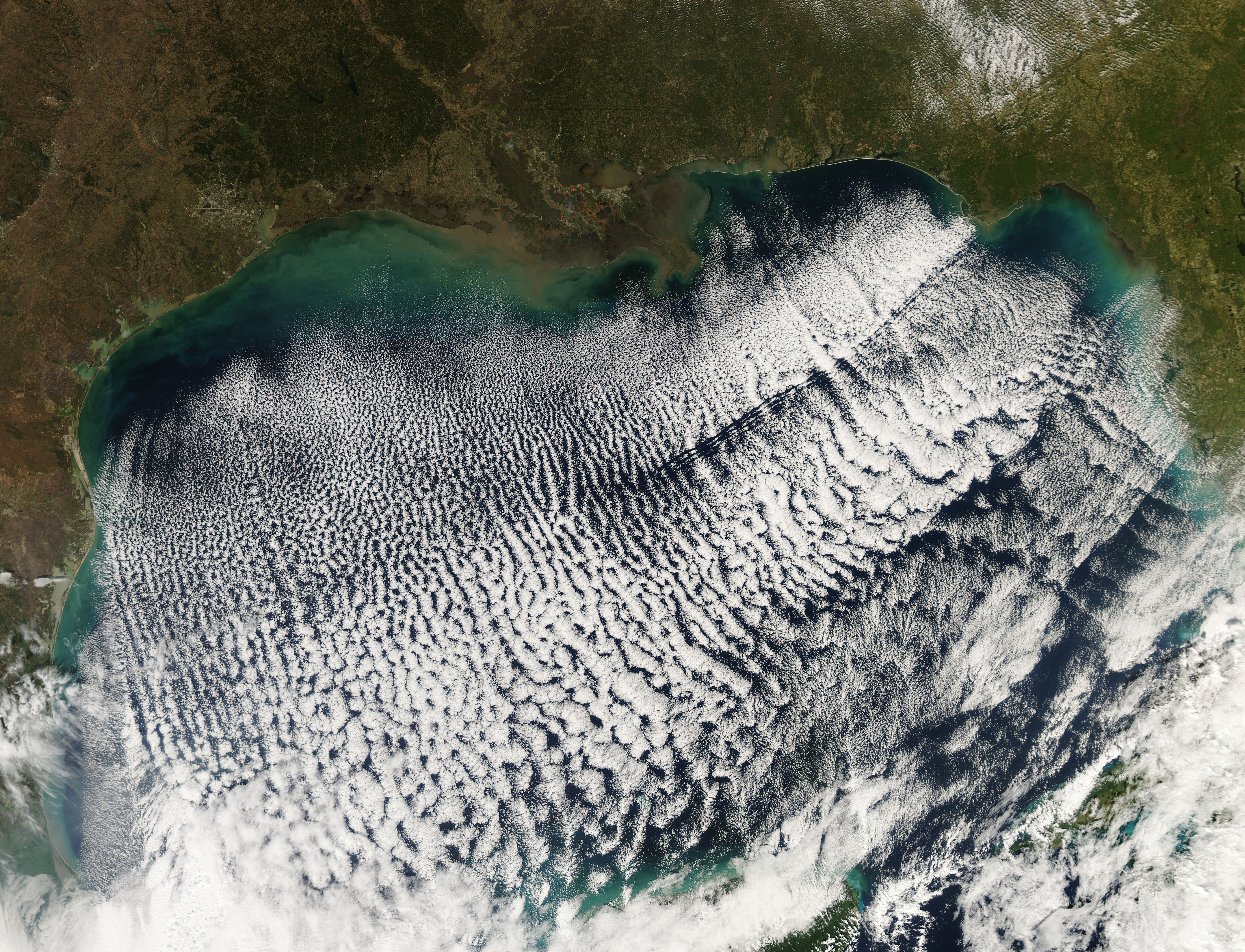 Wind Churns the Gulf of Mexico - related image preview