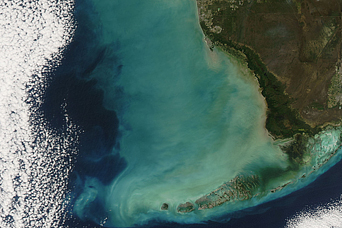 Wind Churns the Gulf of Mexico - related image preview