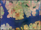 Sao Simao Reservoir, Brazil: 300,000th ISS image of the Earth 