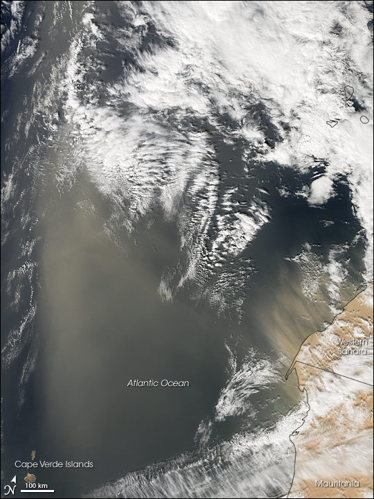 Dust Storm off Western Sahara