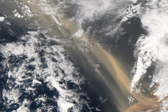Dust Storm off Morocco - related image preview