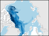 Arctic Sea Ice Younger than Normal - selected image
