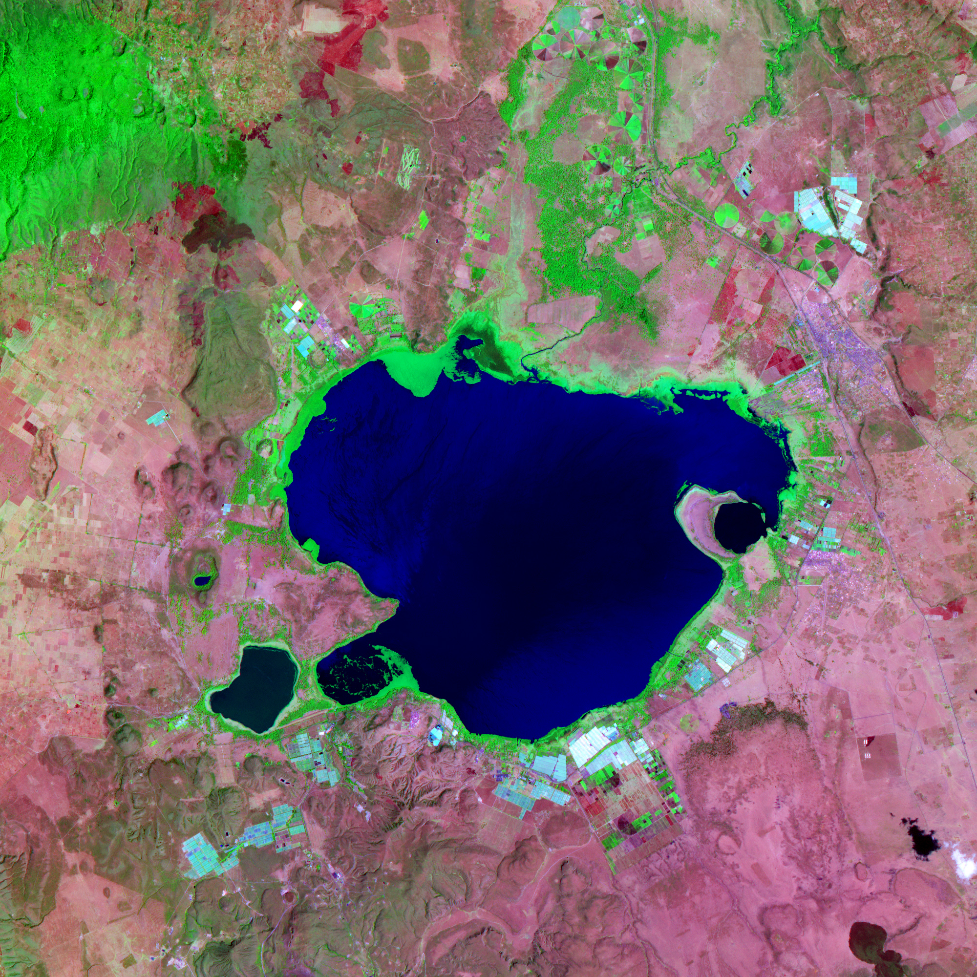 Lake Naivasha, Kenya - related image preview