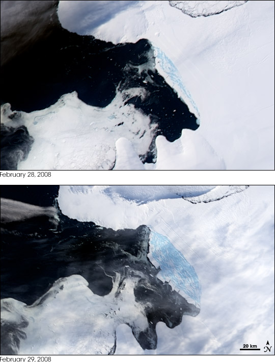 Wilkins Ice Shelf Disintegrates