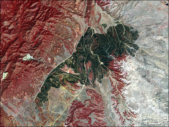 Burn Scar Near Fort Carson, Colorado