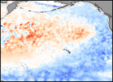 La Nina and Pacific Decadal Oscillation Cool the Pacific 