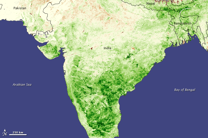 Monsoon Spurs Indian Green-up