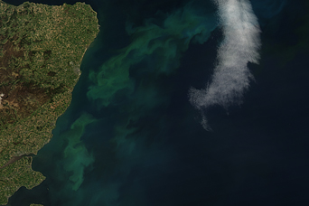 Phytoplankton Bloom in North Sea off Scotland - related image preview