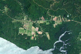 Forest Change, Mainland Papua New Guinea - related image preview