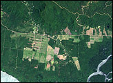 Forest Change, Mainland Papua New Guinea