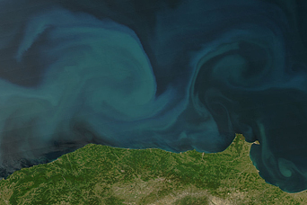 Black Sea Phytoplankton Bloom - related image preview