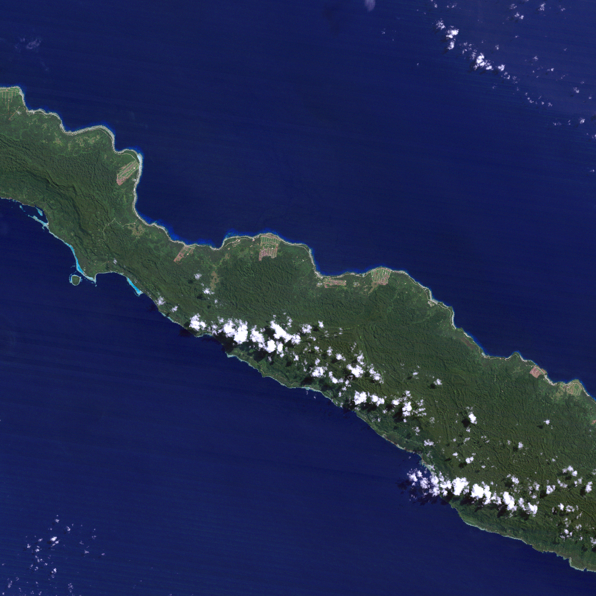 Forest Change on New Ireland, Papua New Guinea - related image preview