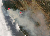 Forest Fires in California