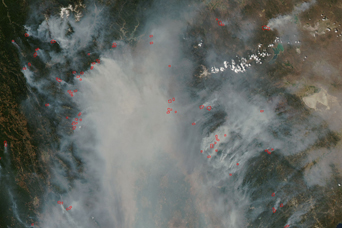 Forest Fires in California - related image preview