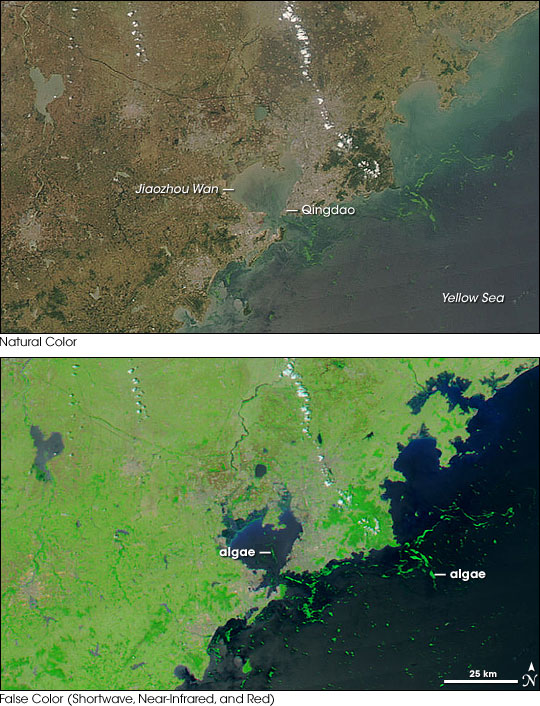 Algal Bloom Along the Coast of China