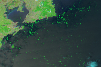 Algal Bloom Along the Coast of China - related image preview