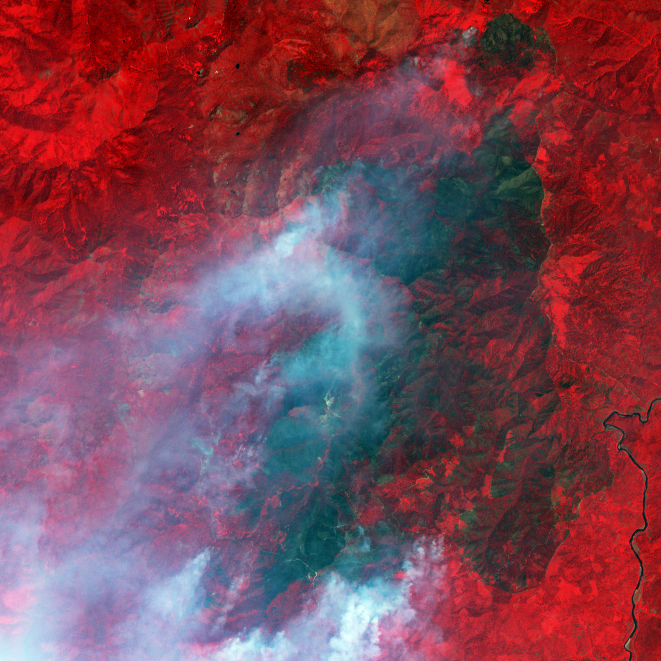 Siskiyou Complex Fire, Northern California - related image preview