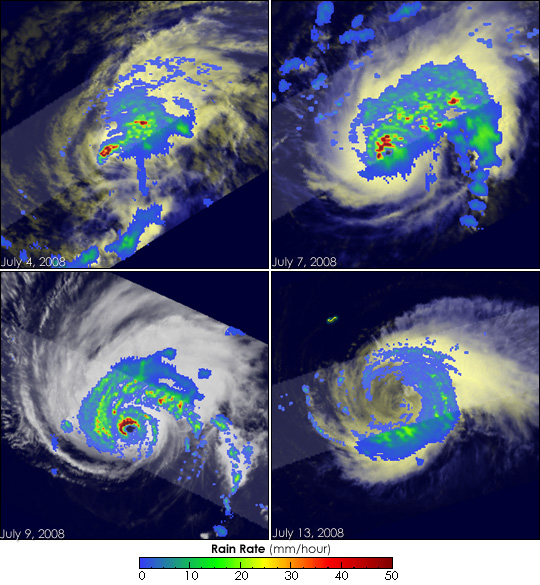 Formation and Decay of Hurricane Bertha