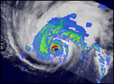 Formation and Decay of Hurricane Bertha - selected image