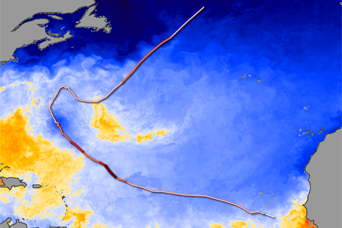 Sea Surface Temperature and Hurricane Bertha - related image preview