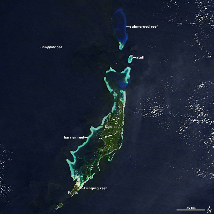 Palau’s Reefs - related image preview