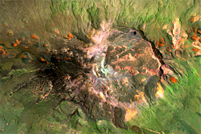Payún Volcanic Field