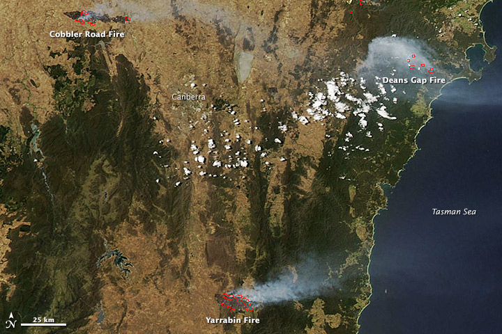 Wildfires in New South Wales