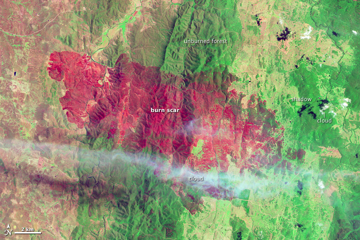 Burn Scar from the Yarrabin Fire in New South Wales - related image preview