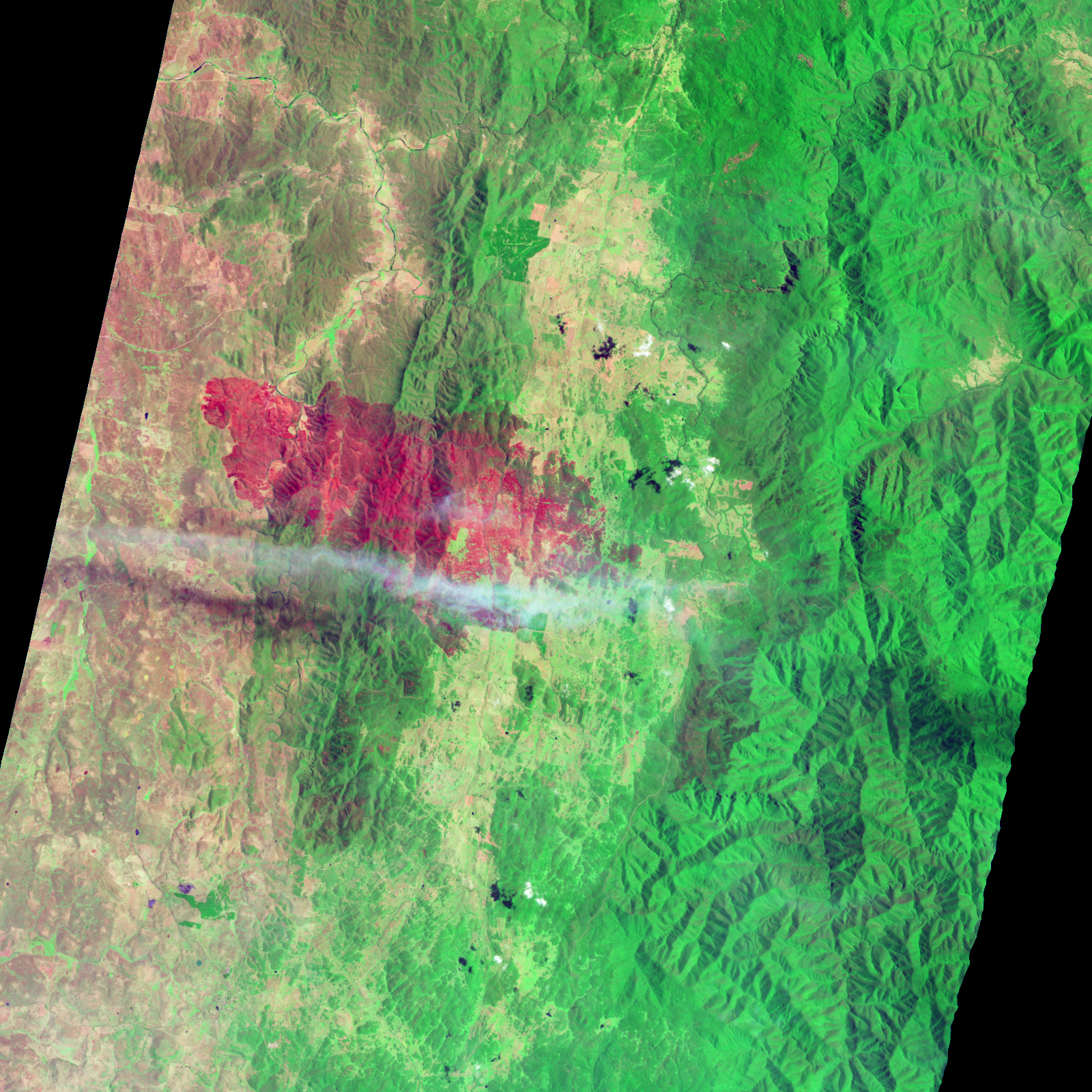 Burn Scar from the Yarrabin Fire in New South Wales - related image preview