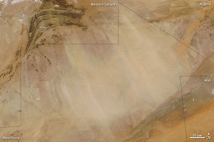 Dust Storm in the Sahara Desert