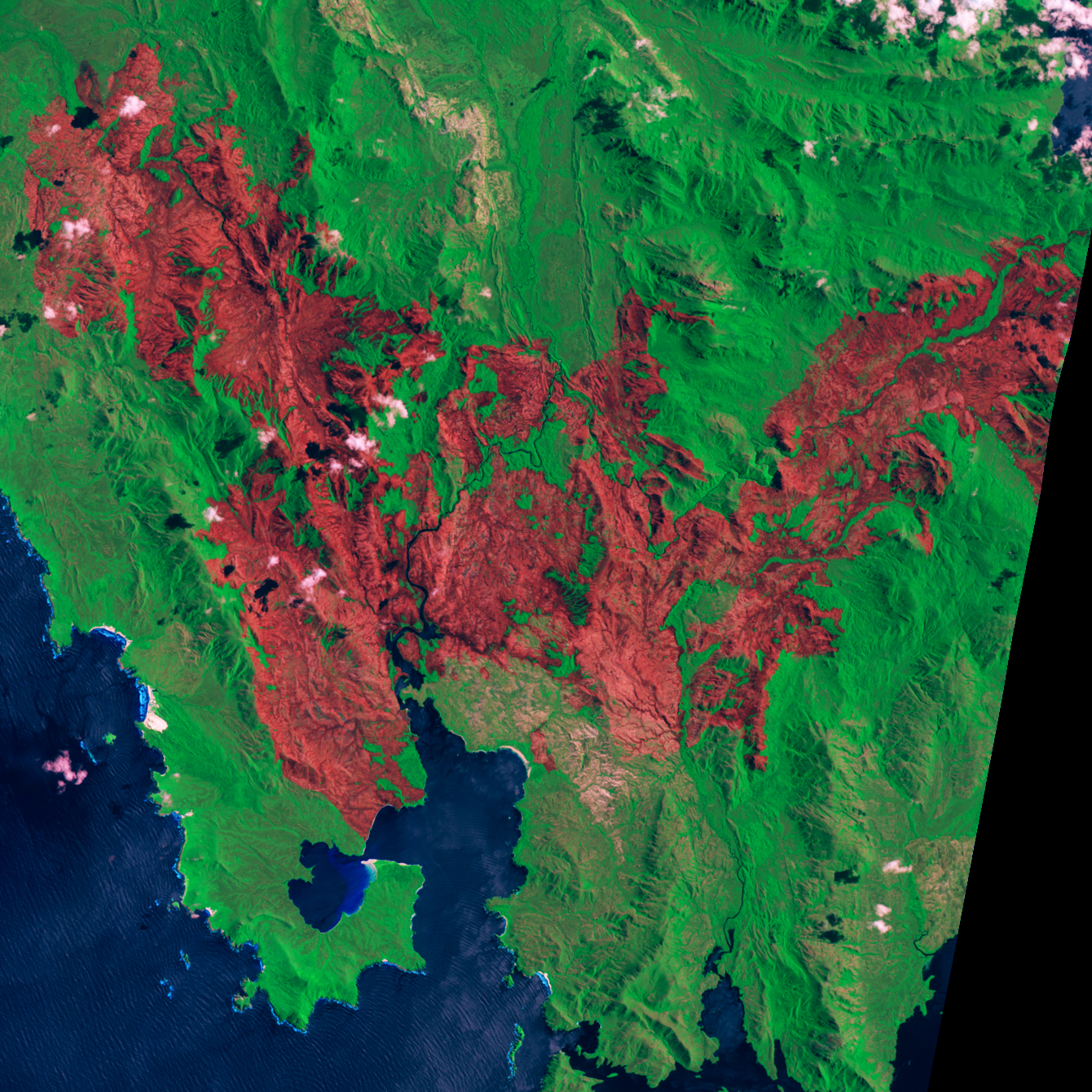 Giblin River Fire Burn Scar in Tasmania - related image preview