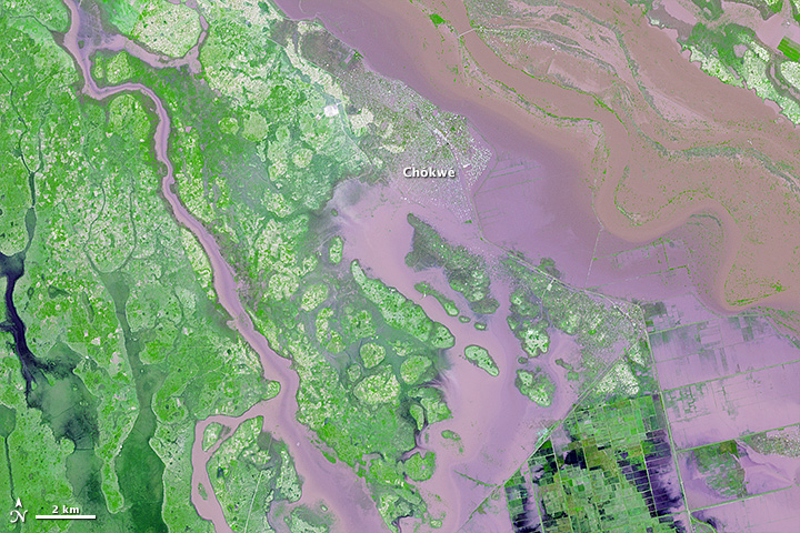 Close-up of Flooding in Mozambique - related image preview